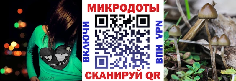 Галлюциногенные грибы Psilocybe  Купить  Грозный 
