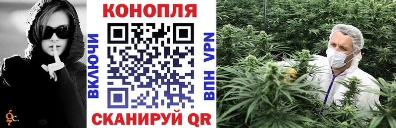Канабис индика  Купить где  Грозный 